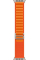 Apple Watch Ultra 49mm Titanium Case with Orange Alpine Loop Large