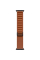 Apple Watch Ultra 3 GPS + Cellular, 49mm Black Titanium Case with Terra Cotta Alpine Loop - Medium