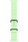Apple Watch Ultra 3 GPS + Cellular, 49mm Black Titanium Case with Neon Green Ocean Band