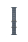 Apple Watch Ultra 3 GPS + Cellular, 49mm Natural Titanium Case with Anchor Blue Ocean Band