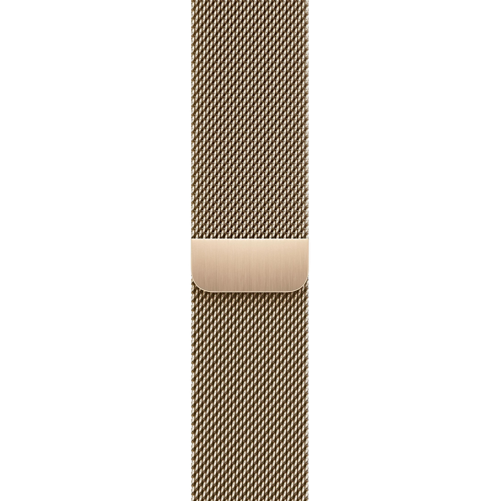 Apple Watch Series 9 GPS + LTE 45mm Gold Stainless Steel Case with Gold Milanese Loop