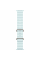 Apple Watch Ultra 2 49mm Natural Titanium Case with Ice Blue Ocean Band 2024