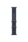 Apple Watch Ultra 2 49mm Natural Titanium Case with Navy Ocean Band 2024