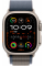 Apple Watch Ultra 2 49mm Titanium Case with Blue Alpine Loop (Large)