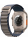 Apple Watch Ultra 2 49mm Titanium Case with Blue Alpine Loop (Large)