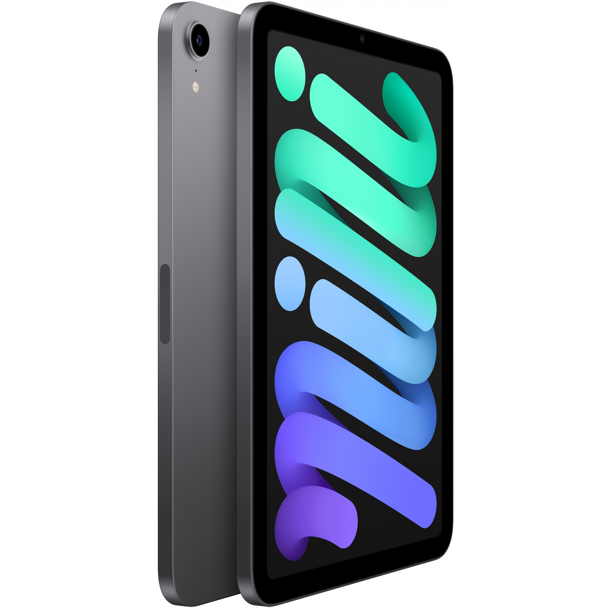 Apple iPad mini 8.3" 256GB Wi-Fi+4G Space Gray 2021