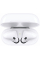 Apple AirPods 2 with Charging Case 2019
