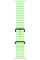 Apple Watch Ultra 3 GPS + Cellular, 49mm Black Titanium Case with Neon Green Ocean Band