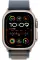 Apple Watch Ultra 2 49mm Titanium Case with Blue Alpine Loop (Large)