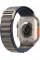 Apple Watch Ultra 2 49mm Titanium Case with Blue Alpine Loop (Large)